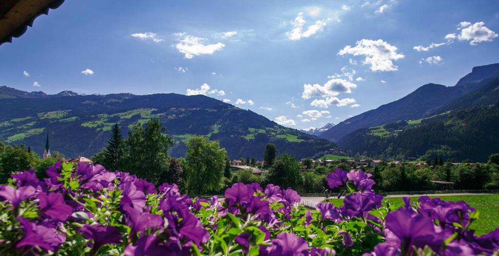 Villa Haidacher Relax & Lifestyle Apartments Zell am Ziller Rom bilde